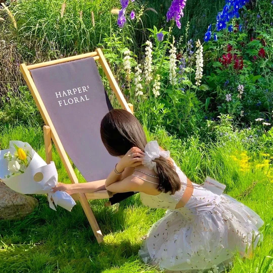 夏日福星粤语