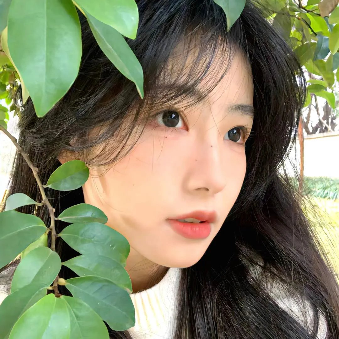 凹凸世界第一季