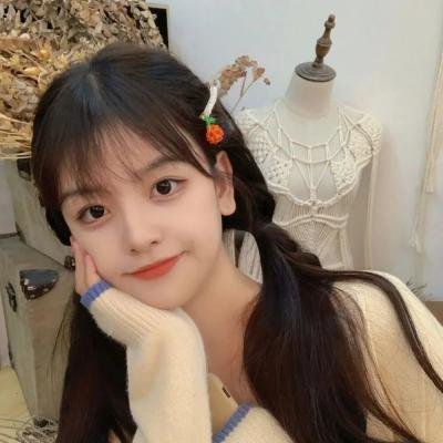 艾哈迈德王子历险记